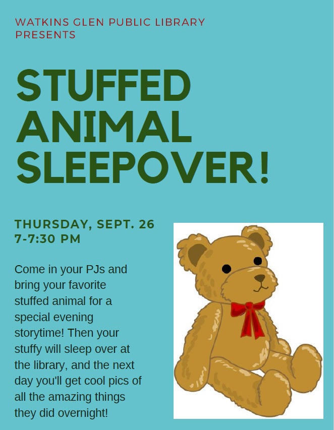 Stuffy Sleepover Flyer